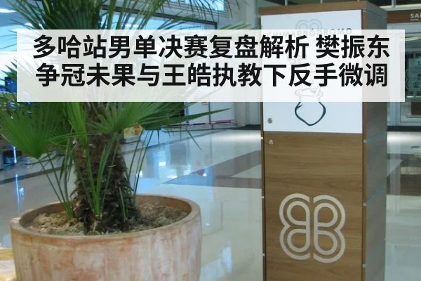 多哈站男单决赛复盘解析 樊振东争冠未果与王皓执教下反手微调